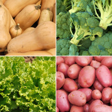 Panier disponible à l’abonnement