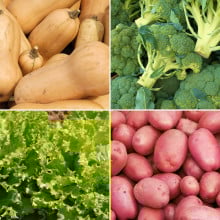 Panier disponible à l’abonnement Panier disponible à l’abonnement