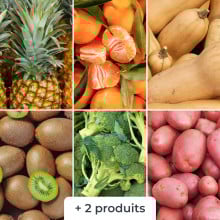 Panier disponible à l’abonnement Panier disponible à l’abonnement