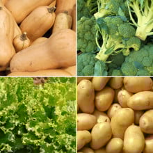 Panier disponible à l’abonnement Panier disponible à l’abonnement