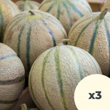 3 melons 3 melons