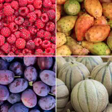 Panier de fruits de saison