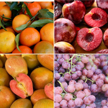 Panier de fruits de saison