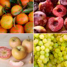 Panier de fruits de saison