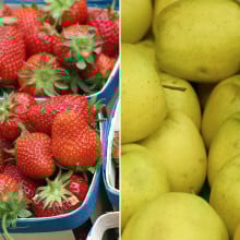 Pommes Chanteclerc & fraises