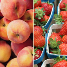 Pêches blanches & fraises