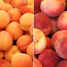 Abricots et pêches