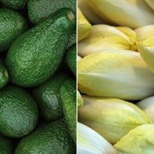 Avocats corses et endives