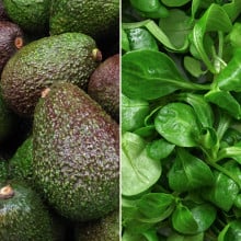 Avocat & mâche