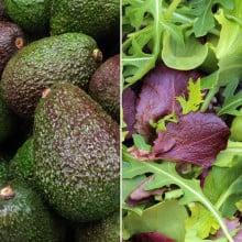 Avocat et mesclun