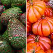 Avocats et tomate marmande