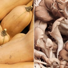 Butternut et pleurotes