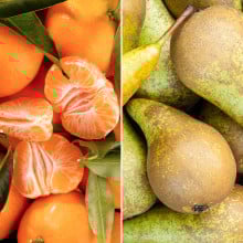 Clémentines corses et poires conférences