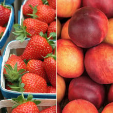 Fraises et nectarines