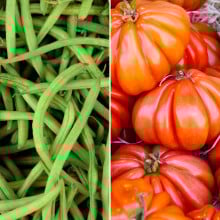 Haricots verts et tomates anciennes cœur de bœuf