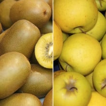Kiwis jaunes et pommes golden