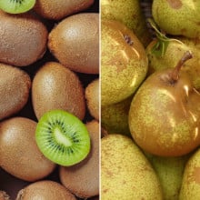 Kiwis verts et poires morgane