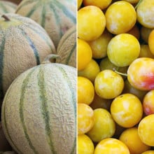 Melon et prunes mirabelles