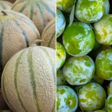 Melon et prunes Reine Claude