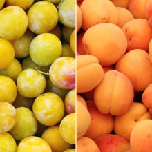 Prunes mirabelles et abricots