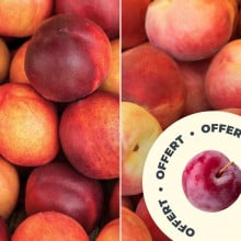 Nectarines, pêches et 600g de prunes rouges offerts