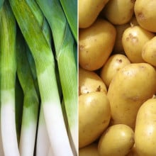 Poireaux et pomme de terre