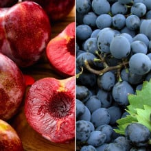 Prunes lovita et raisin muscat noir