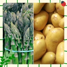 Asperges vertes et pommes de terre