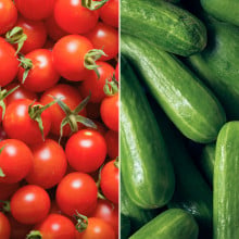Tomates cerises et concombre noa