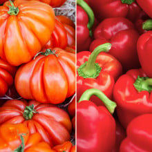 Tomates marmande et poivrons rouges