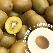 Kiwi jaune