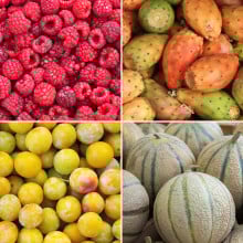 Panier de fruits de saison