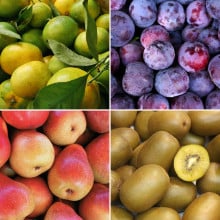 Panier de fruits de saison