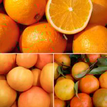 Panier de fruits de saison (100% agrumes)