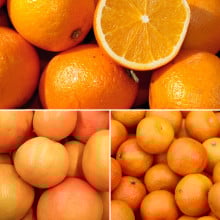 Panier de fruits de saison (100% agrumes)