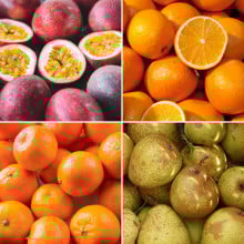 Panier de fruits de saison