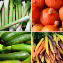 Panier de légumes de saison