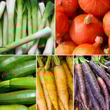 Panier de légumes de saison