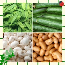 Panier de légumes de saison