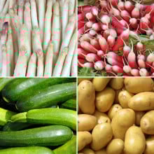 Panier de légumes de saison