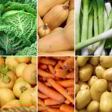 Panier de légumes de saison pour soupe