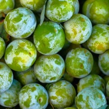Prunes Reine claude