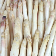 Asperges  blanches