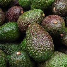 Avocats