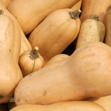 Courges butternuts