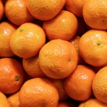 Mandarines Gold Nugget