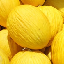 Melons jaunes