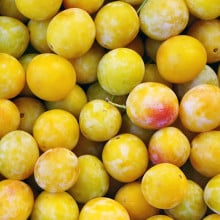 Mirabelles