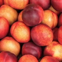 Nectarines