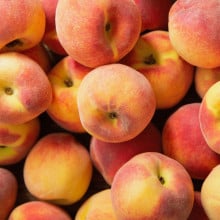Pêches blanches